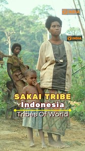 2K views | DD India brings a closer look at some of the world’s most captivating tribes that you should know about! ✨ Stay tuned! #Sakai is a tribal community in #Indonesia, traditionally living in the interior of Riau, Sumatra. Some of them still lead a nomadic and hunter-gatherer lifestyle in the remote interior of Sumatra, while most settled into major cities and towns with the rise of industrialization. Know more ⏩ | DD India | Facebook