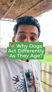 38K views · 52 reactions |  Your Dog’s Behavior Changes with Age –...