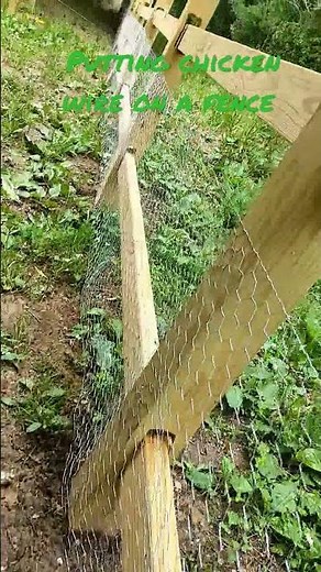 putting chicken wire up for a fence barrier 🚧