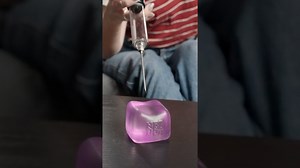 238K views · 2.8K reactions | Please Don’t Destroy My Stress Toy! 沈 | Vat19.com | Facebook