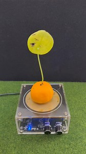 Watch how a high voltage Tesla Coil creates the amazing Sleeping Leaves effect ⚡🍃 Pure electricity, plasma, and science experiment! ⚠️ High voltage experiment. Do not try at home. #teslacoil #viral #experiment #fblifestyle | Kadek Tesla Coil Experiment