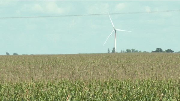 2025 farm income projections paint grim picture for farmers trying to break even