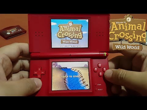 Animal Crossing Wild World on Nintendo DS Lite in 2020