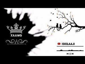 ISKILAAJI - XAAWO - 2024 NEW SONG OFFICIAL MUSIC VIDEO