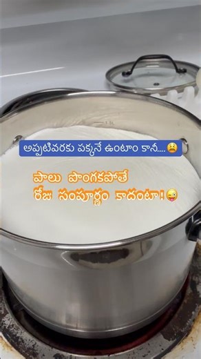 ప్రతీరోజు పాలని పొంగబెట్టి గృహప్రవేశం చేసేస్తాం #telugufacts #funnyshorts