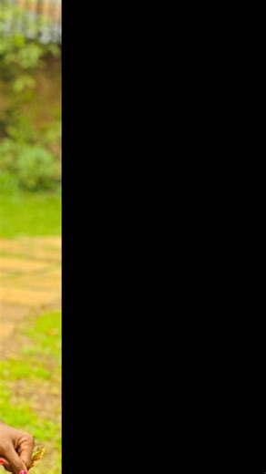 Merry Christmas Wishes Videos for Everyone