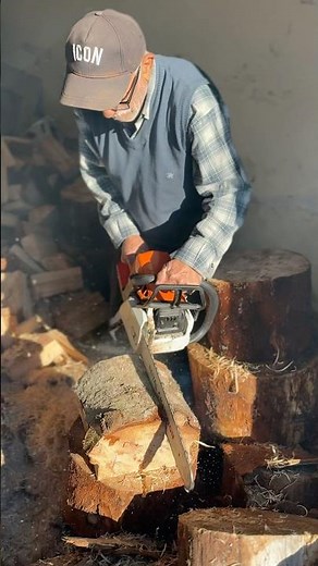 Dedenin Çakma Stihl Motorlu Testere Kesimi #keşfet