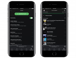 Ipa Download Offline Spotify