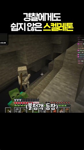 작은 좀비 친꾸들.. #minecraft #마크