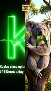 The ABCs of FUN: Learning Letters with Laughter!