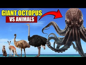 𝗚𝗶𝗮𝗻𝘁 𝗢𝗰𝘁𝗼𝗽𝘂𝘀 𝘃𝘀 𝗔𝗹𝗹 𝗔𝗻𝗶𝗺𝗮𝗹𝘀 | 𝟯𝗗 𝗔𝗻𝗶𝗺𝗮𝗹𝘀 𝗦𝗶𝘇𝗲 𝗖𝗼𝗺𝗽𝗮𝗿𝗶𝘀𝗼𝗻 𝟮𝟬𝟮𝟱