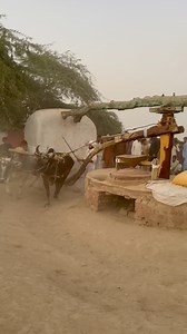 Old Kharas Atta Chakki In Punjab #fbreelsfypシ゚viralシ #viralreels #trandingreels #ytshort #traditionalpunjab #foryou #villagelifestyle #punjabiculture #viral | Traditional Punjab