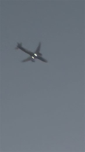 Indigo A320neo flyby #aviation