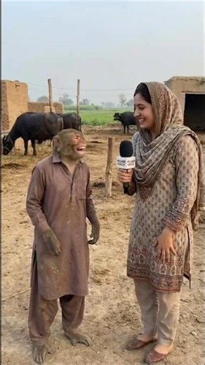 Funny video Ai😁#comedy #fool #monkey #short #viralcomedy