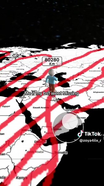 Finding Pookie: Searching for My Missing Best Friend