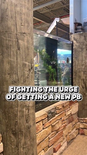 Just let me get one cast! #fyp #fishing #fypシ #funny #trending #viral #trend #fish #bass #funnyvideo