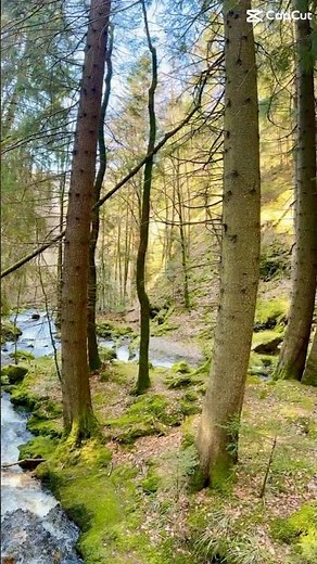 Ravenna Gorge