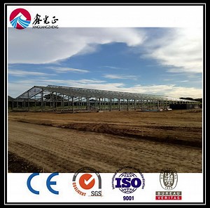 [Hot Item] Factory Buildings for Sale/Steel Structure Prefabricated Warehouse (BYSS-101)