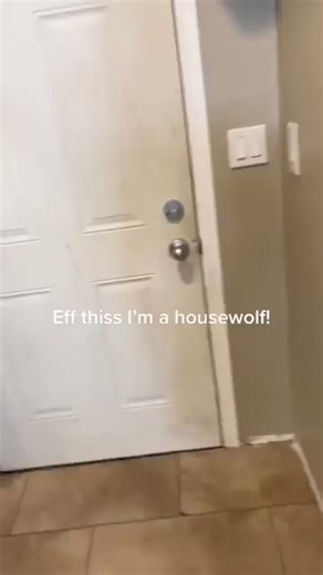 310K views · 2.7K reactions | #wolf #yellowstonewolves #virals #animal | Yellowstone Wolves | Facebook