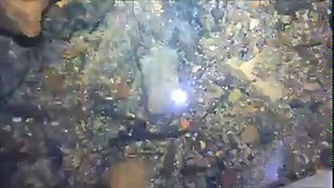 How many coins can people possibly drop in the streets? Come underground and see for yourself! | Exploring Alabama