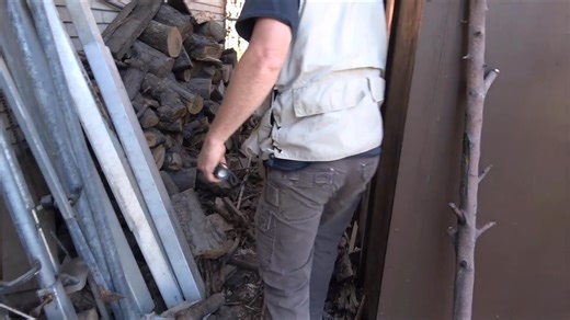 950K views · 24K reactions | Mink and Dog Cleanup Backyard Rats! | Joseph Carter Minkman | Facebook