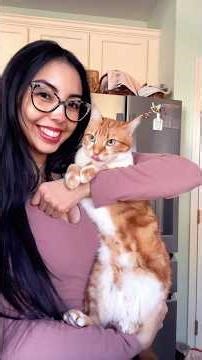 Happy Monday! @ALDI USA 🤓💕 #haul #groceryshopping #food #snacks #fypシ #errands #fyp