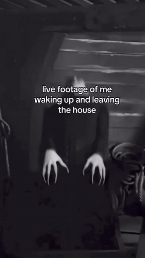 1M views · 17K reactions | 驪 | Shadow Dance | Facebook