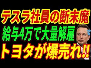 【海外の反応】結局トヨタが世界一！中国EV市場が大崩壊⁉ 大量解雇のテスラの惨状とは・・・