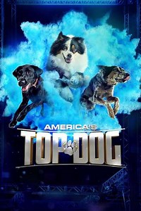America's Top Dog - Season 1 (2020)