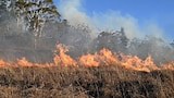 What to do if there's a bushfire in your area - ABC Emergency