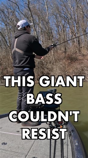 Big bass during the spring time in dirty water can’t resist the zman lava craw chatterbait evo. This was my first pa bass after the ice came off this year. Pretty great start to the season! #bassfishing #bassfishingtips #fishing #fishingtips #chatterbait