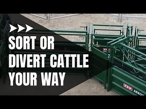 Cattle Sorting Alley | One and Two-Way Cattle Sorting | Showcase