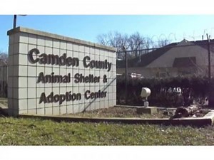 Pledge-A-Paw Takes Aim At $50K Goal For Camden County Animal Shelter