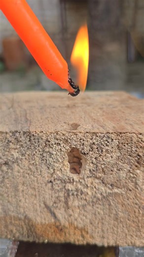 #wood #tricks | Wood Trick Hub