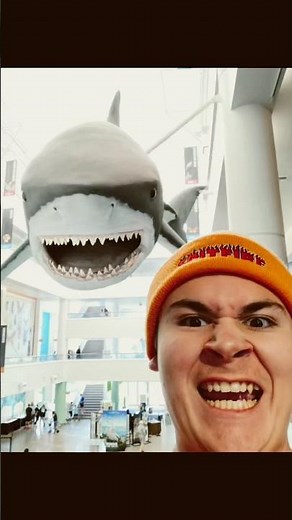 Jaws Theme Tutorial for Violin #violin #shorts