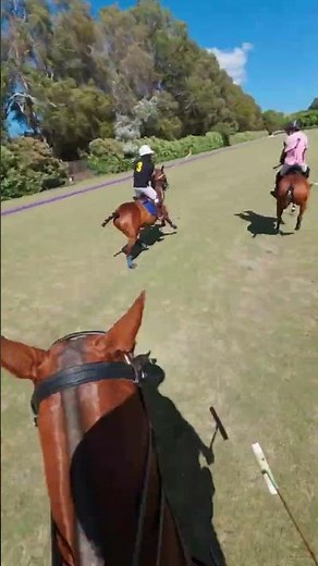 The purpose of the iconic Reverso by JLC #horse #polo #poloralphlauren #horseriding #sports #race