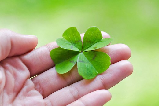 Why Four-Leaf Clovers Are Considered Lucky: Facts and Myths