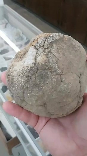 Cracking Open The Best Geode with a Surprise Inside