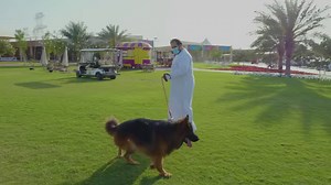 Dubai Birds and Pets Market is home to numerous pet shops selling animals, food, medicine and accessories, with wide range of amenities like animal hotel, veterinary clinic, auction hall, food court, and pet quarantine area! Visit us today in Al Warsan. Open daily from 10am to 10pm. | Dubai Municipality بلدية دبي