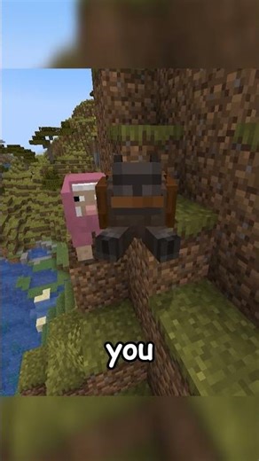 CAPYBARAS IN MINECRAFT!!!