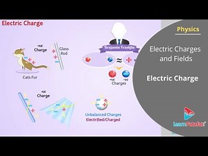 Electric Charges and Fields Class 12 Physics Chapter 1- Electric Charge
