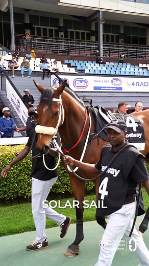 Betway Summer Cup Spotlight 18 – SOLAR SAIL 54kg Draw 19 Trainer: Mark Khan Jockey: Jarryd Penny He has been under the radar since a close third behind Legend of Arthur and Wild Intent in the Grade 1 SA Derby back in March, a race that indicates there should not be much among the three here. Should not be assessed on his two most recent runs for which there were excuses both times. With his rating having dropped, he could well put in a much-improved performance back over 2000m and should be cons