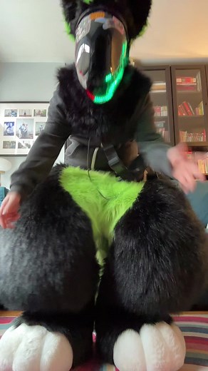 Understanding Protogen Fursuit Design and Culture