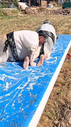 42K views · 1K reactions | No pulse-pressing games today, let's play some slicked-back bullfighting! Bats are having a blast! #FunInRuralAffairs #DailyGames #CureForUnhappiness #SimpleHappinessForMen #NewRuralPlan2025 | Reya Roy | Facebook