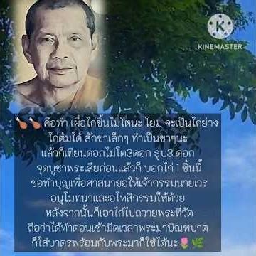 Luang Pho Rueasi Ling Dam offered a chicken as a ritual to ward off misfortune and bring smoother...