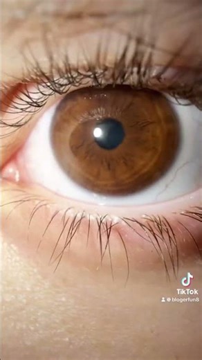 Мои глаза у меня есть аккаунт в TikTok название Blogerfun