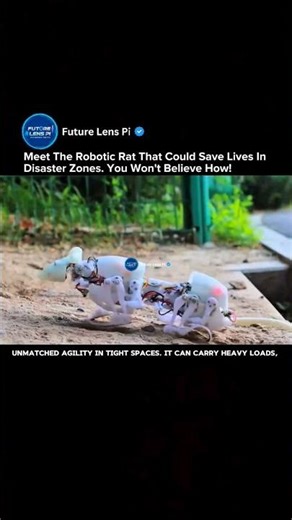 This Robotic Rat Can Crawl, Climb, and Turn Like a Real One! | SQuRo Innovation Explained #shorts