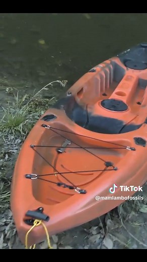 Discovering a Plesiosaurus Fossil Adventure