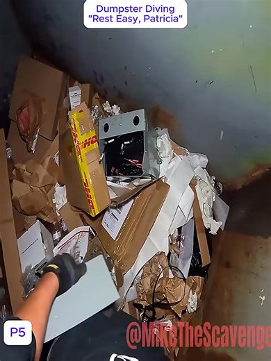 #dumpster #hunter-008 | Anderson Greenholt