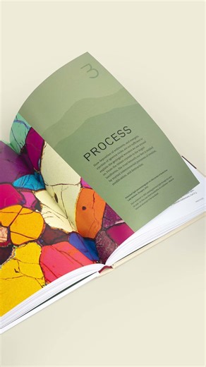 Geology: An Illustrated History